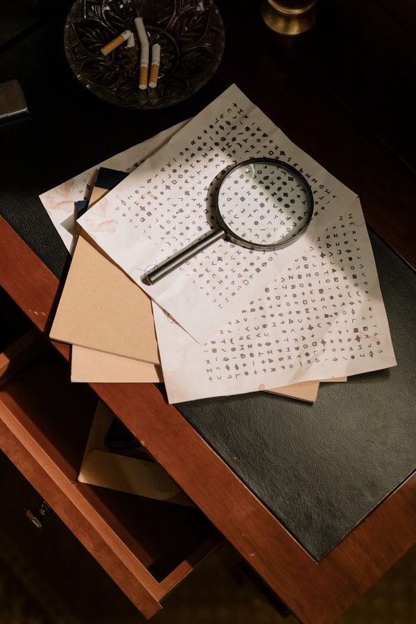 Studio Crime & Law